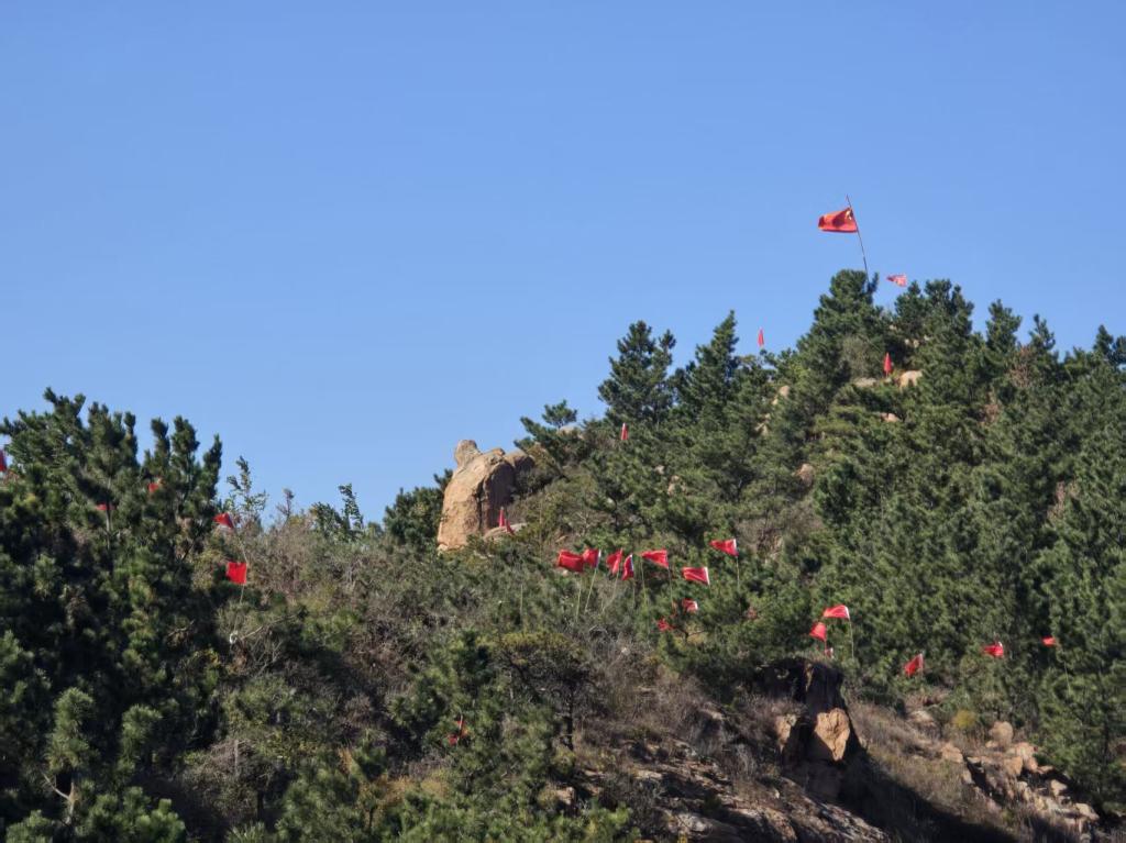 图片包含 户外, 风筝, 草, 飞行AI 生成的内容可能不正确。